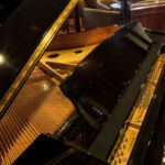 Paquete Porto, Porto Bar